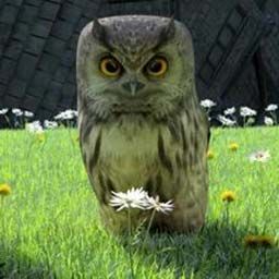 The Magical Typewriter