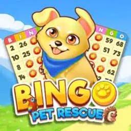 Bingo Pet Rescue